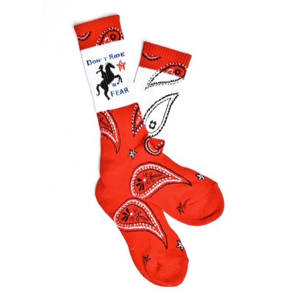 Don't Ride in Fear Lucky chuck Performance socks